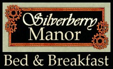 Silverberry Manor--Bed & Breakfast