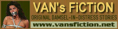 http://www.vansfiction.net/vf-net-banner-2.jpg